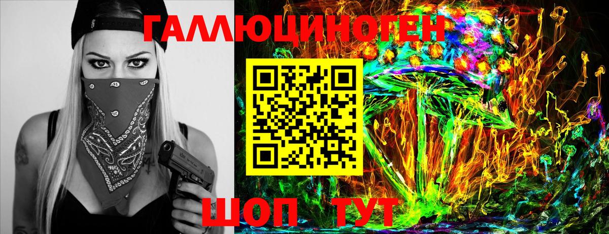 Псилоцибиновые грибы Cubensis Чехов