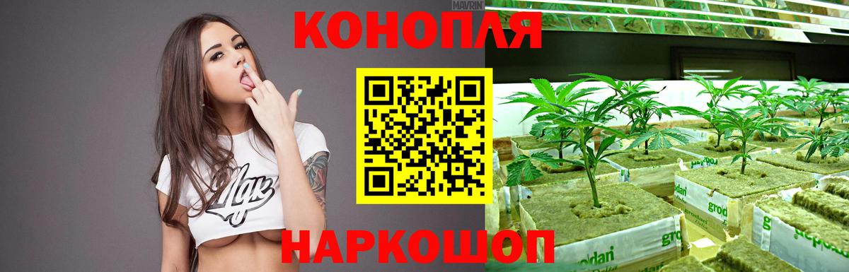 Канабис ГИДРОПОН Чехов